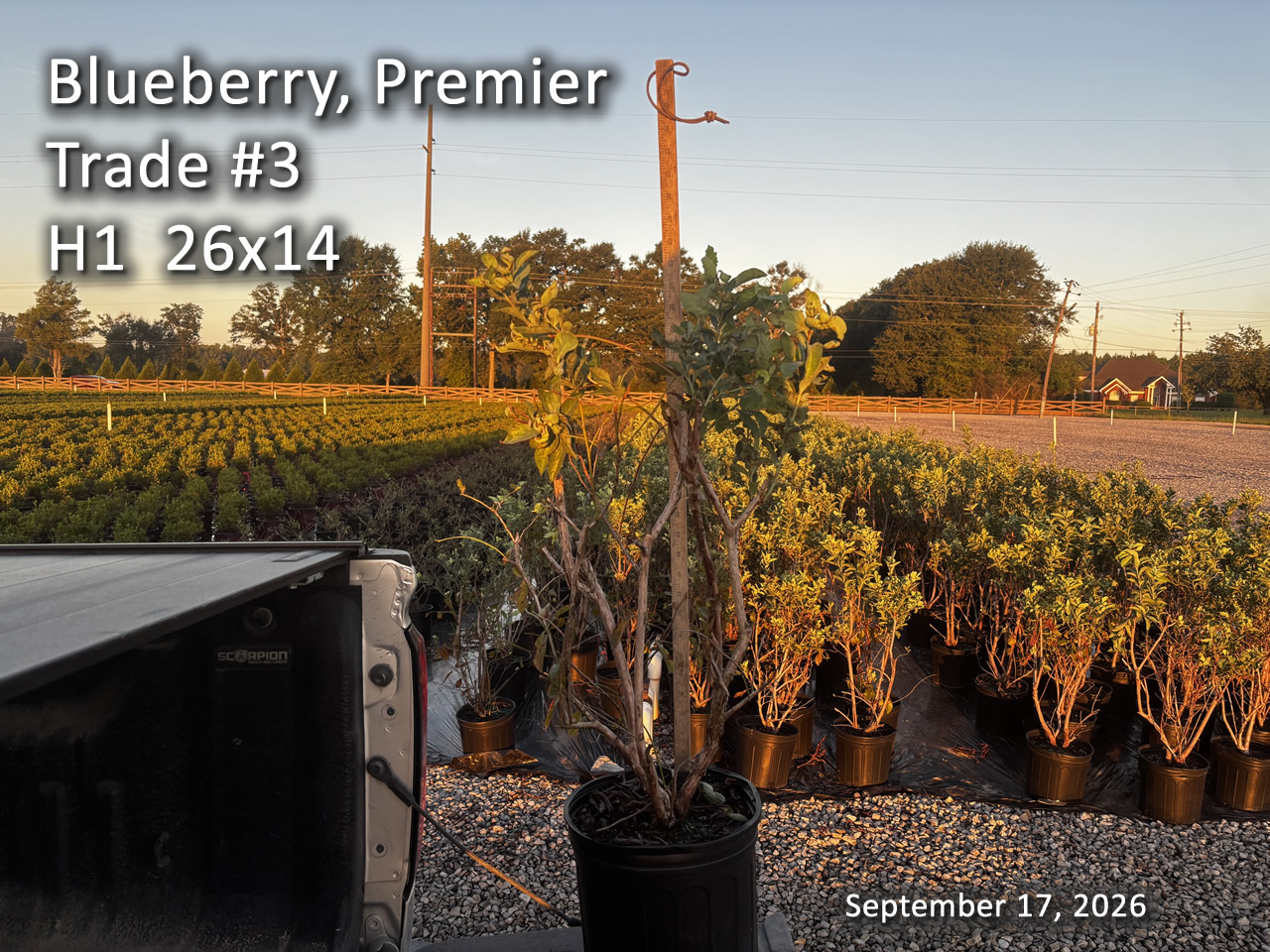 gallery/bpr3t h1 sept17.jpg